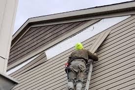 Affordable Siding Repair and Maintenance Services in Daytona Beach, FL